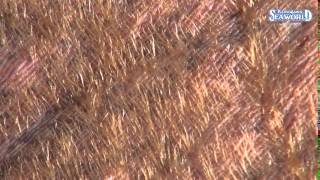 次の動画へ
