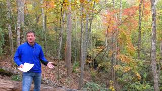 Lake Keowee Real Estate Video Update November 2019 Mike Matt Roach Top Guns Realty
