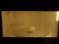Ping Pong Ball in Microwave
