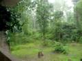 Hurricane Gustav Pt I