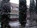 下雪了，一邊錄影一邊murmur..XDD