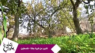حلوة يا دنيا - تقرير عن قرية جفنا - فلسطين