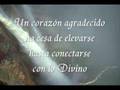 Afirmacinoes de Agradecimiento. Parte 2 de 4