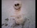 Snow Samurai