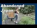 Harvesting Takenoko Bamboo Shoots in Japan