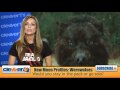 New Moon Profiles: Werewolves / Shapeshifters