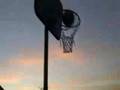 NOAH'S Basketball Shot$ 