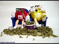 Fumo tanta erba - Legalizzala