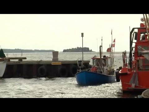 Ostsee: Fischsterben durch Gülle aus intensiver Landwir ...