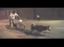 Mushing Peru - Ciudad - Practicas Nocturnas 1999