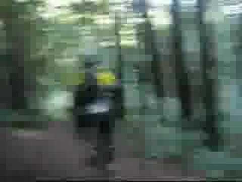 big trees singletrack