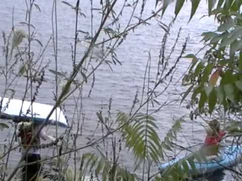 MOV010-7