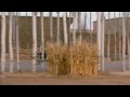 VuDuCiel - desert