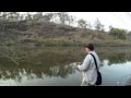 Big 54cm Aussie Bass