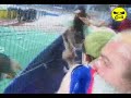 Ultras Impuscat Ultras Impuscat