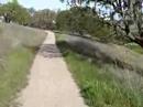 Heilmann Park Walk #1c