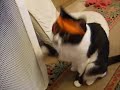 DSCF7836