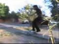 skateboarding