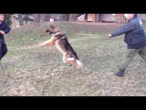 bike sales bike sales