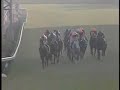 1993 Arima Kinen ????