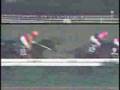 1993 Arima Kinen 有馬記念