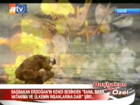 recep tayyip erdo??an