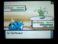 Pokemon D/P Wifi Battle 10: Eco(Me) vs KRDSonic Pokemon D/P Wifi Battle 10: Eco(Me) vs KRDSonic