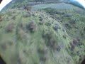 nano bobcat carnage