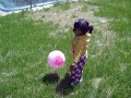MY NIECE, .MY LOVE, MY SONG MY NIECE, .MY LOVE, MY SONG