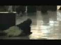 videos de DMZ PLAYER TRIBUTE (part 1)