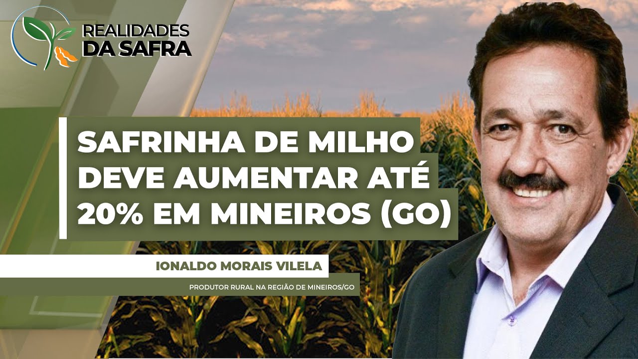 Segunda safra de milho em Mineiros (GO) deve ter aumento na produtividade