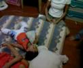 Sophia and Dash Fight 2
