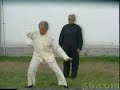 Wang Pei Sheng Wu Taiji Quan