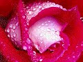 Tibetan Buddhist Meditation Music  Relaxation
