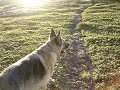 Kella - Queen Of The Mountain - 5.7.2007