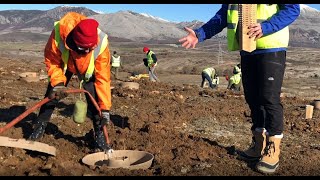 Restoring the landscape in Northern Spain