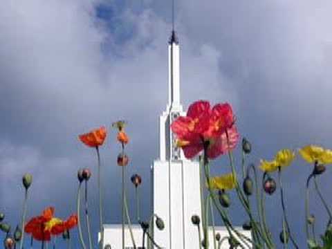 Hamilton New Zealand LDS (Mormon) ...