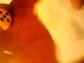 videos de tirage general