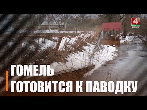 «Лодки покупаем. Не ждем Красного креста». Жители Гомельщины готовятся к паводку видео