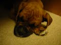 december 2008 167