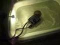 55w HID ballast underwater test