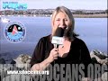 SD Oceans Foundation - 100K Challenge for the Oceans