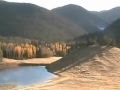 Bull Elk in Forbes Park Colorado Video