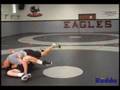 How to Perform the Metzger Taked Down