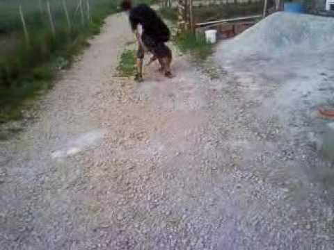 Qent+e+sharrit+ne+shitje