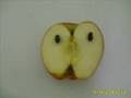 frutitas tarea