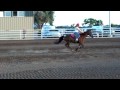 videos de Barrel Racing