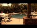 California Dreamin Trailer #1
