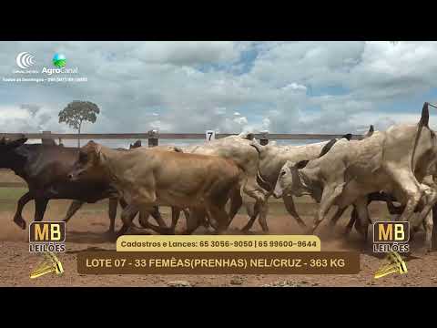 532� LEIL�O VIRTUAL MB LEIL�ES