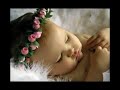 Para onde v�o as aves - S�rgio Lopes